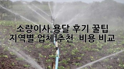 소량이사 용달 후기 꿀팁🍯: 지역별 업체 추천 & 비용 비교!